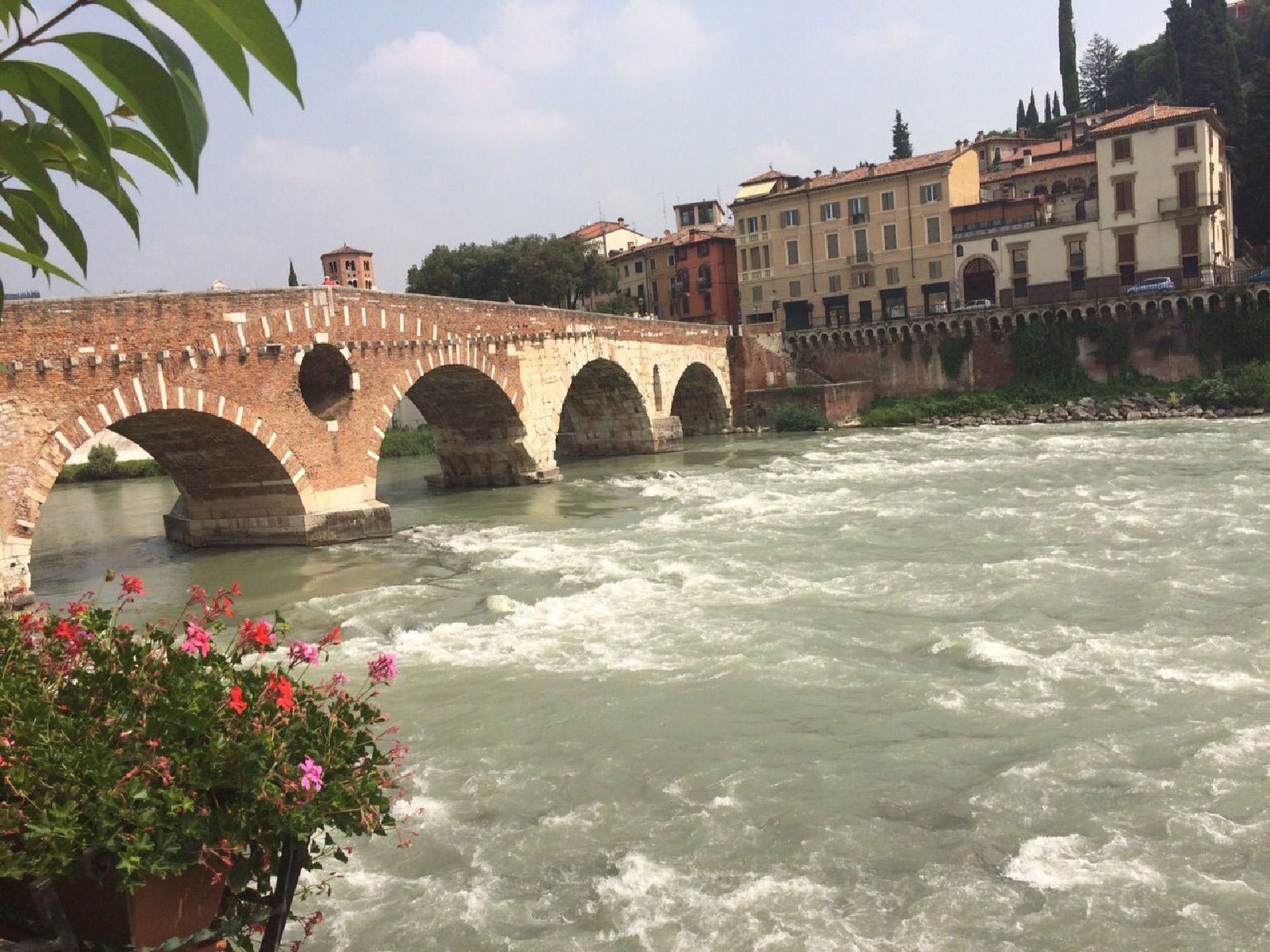 Verona