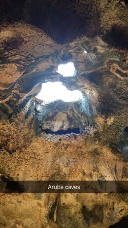 Photo of Aruba cave We got to visit one of the Aruba caves. It was very educational and even saw bats. , Michelle C - July 2016