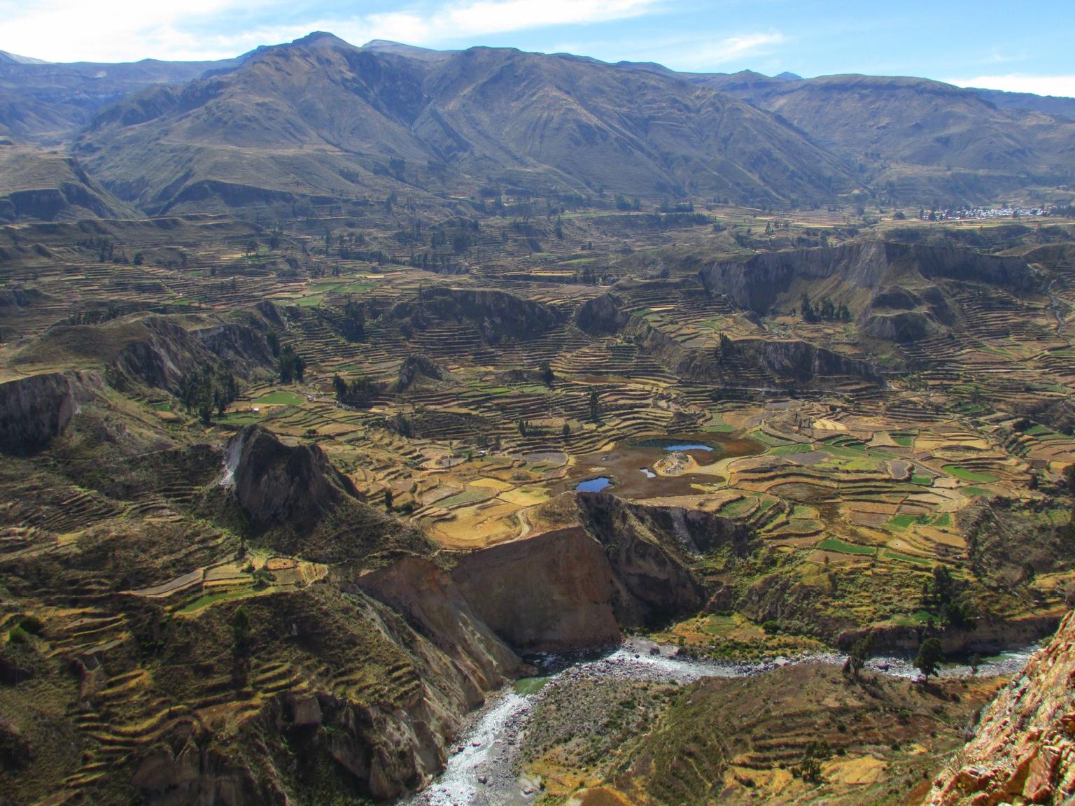 Colca Valley Overnight Tour from Arequipa: Colca Canyon, Vicuna Reserve and Condors
