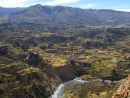 Photo of Colca Valley Overnight Tour from Arequipa: Colca Canyon, Vicuna Reserve and Condors Colca Canyon - May 2013