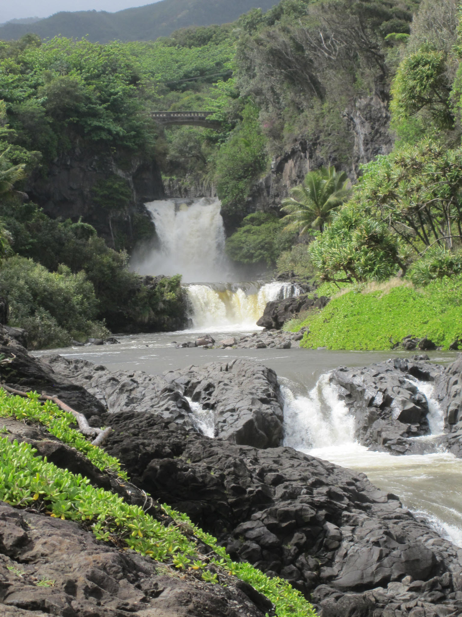 Heavenly Hana Tour