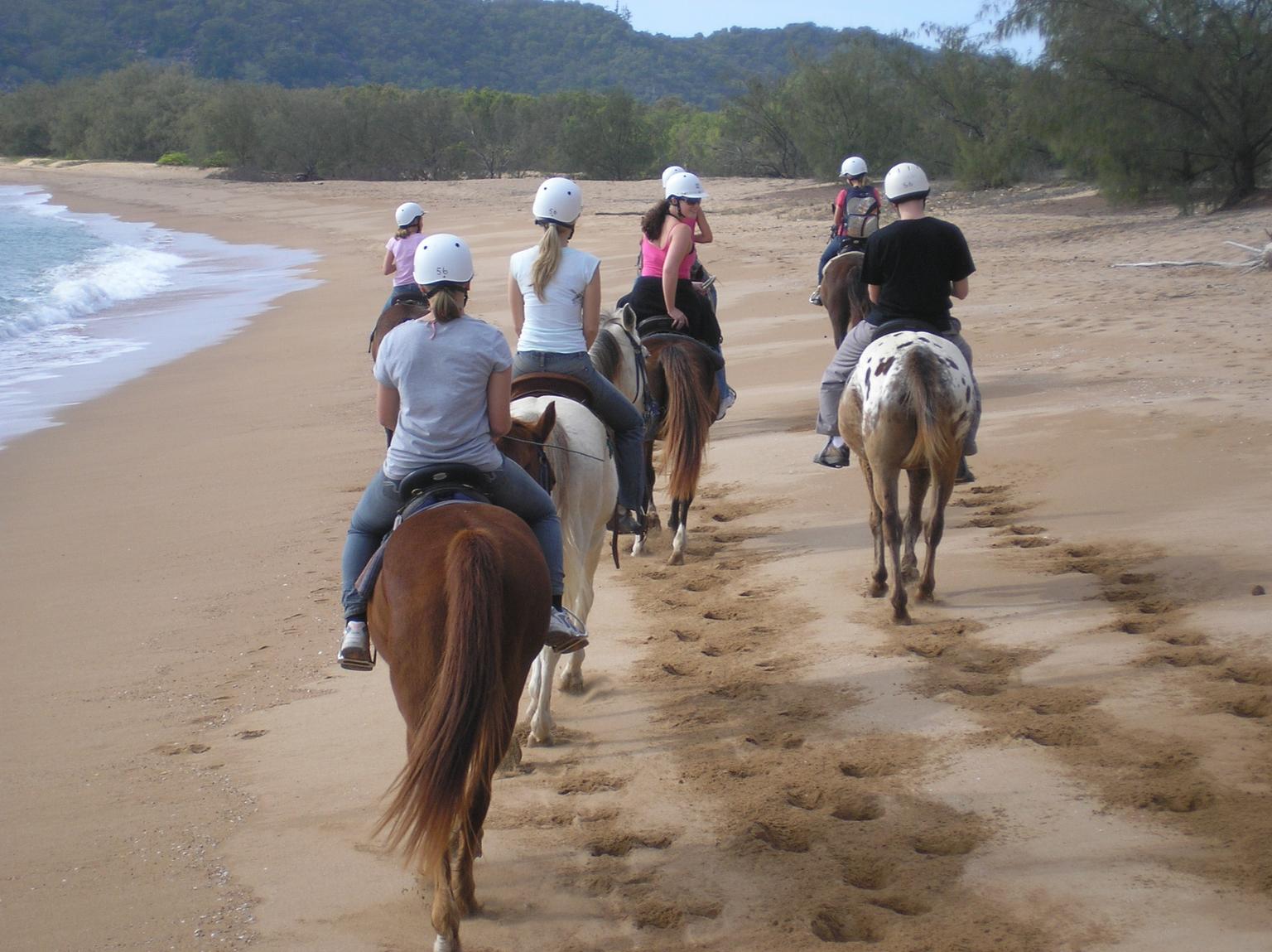 Horseback Riding