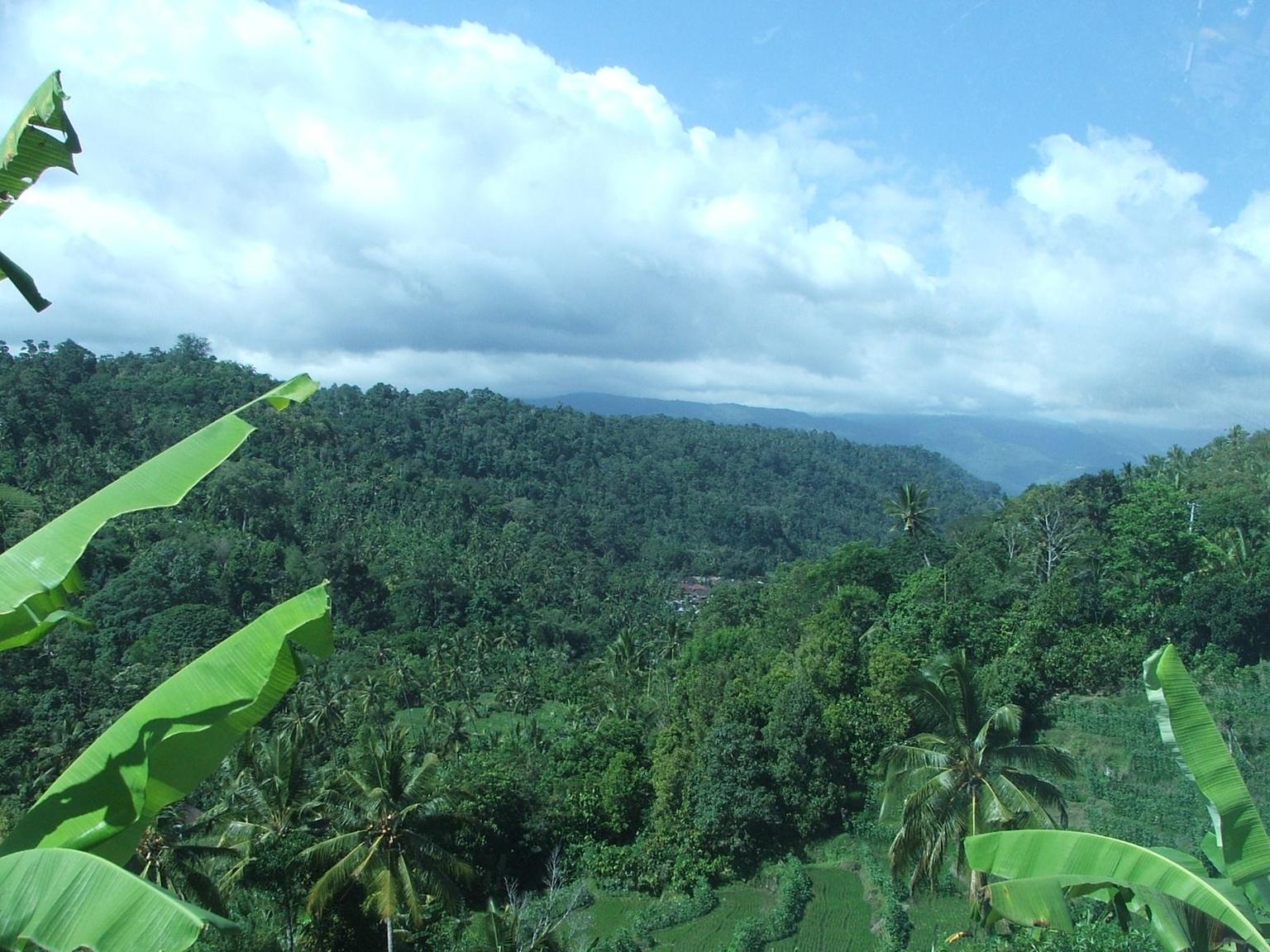 A View of Bali