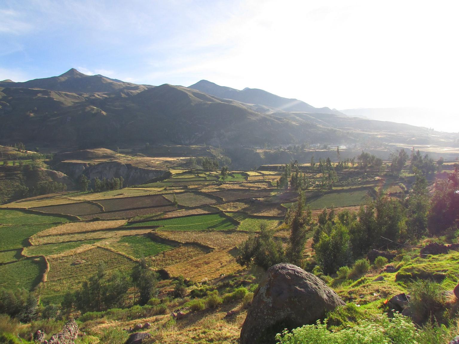 Colca Valley Overnight Tour from Arequipa: Colca Canyon, Vicuna Reserve and Condors