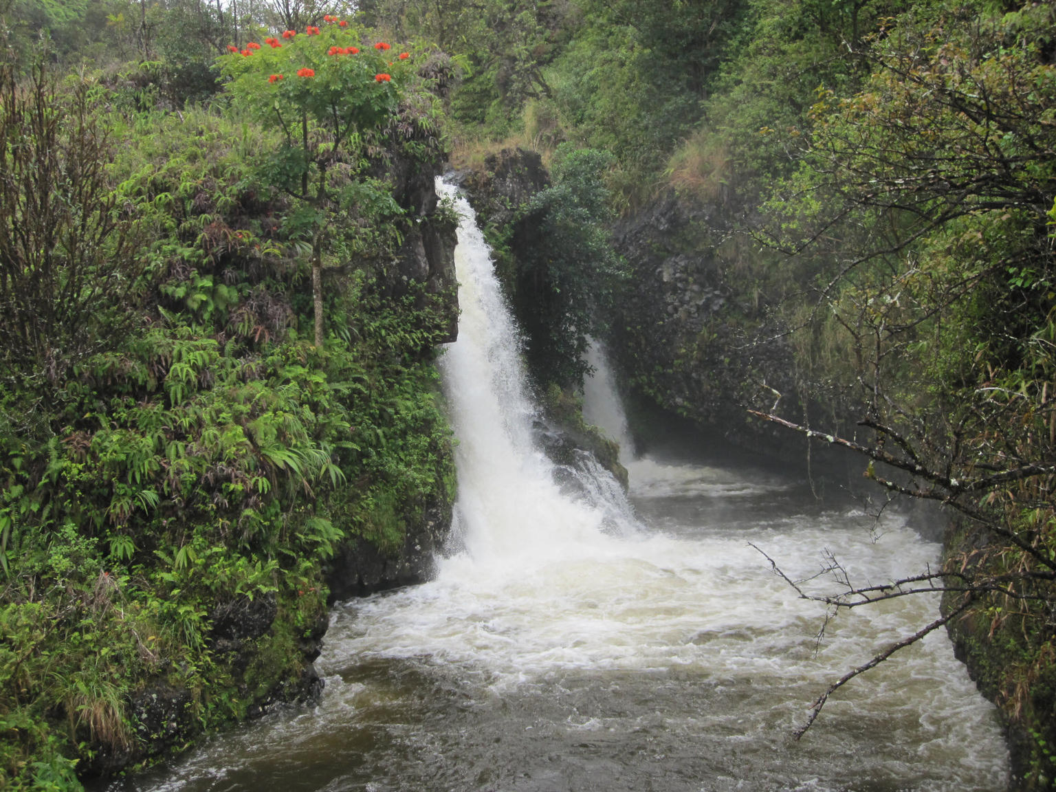Heavenly Hana Tour