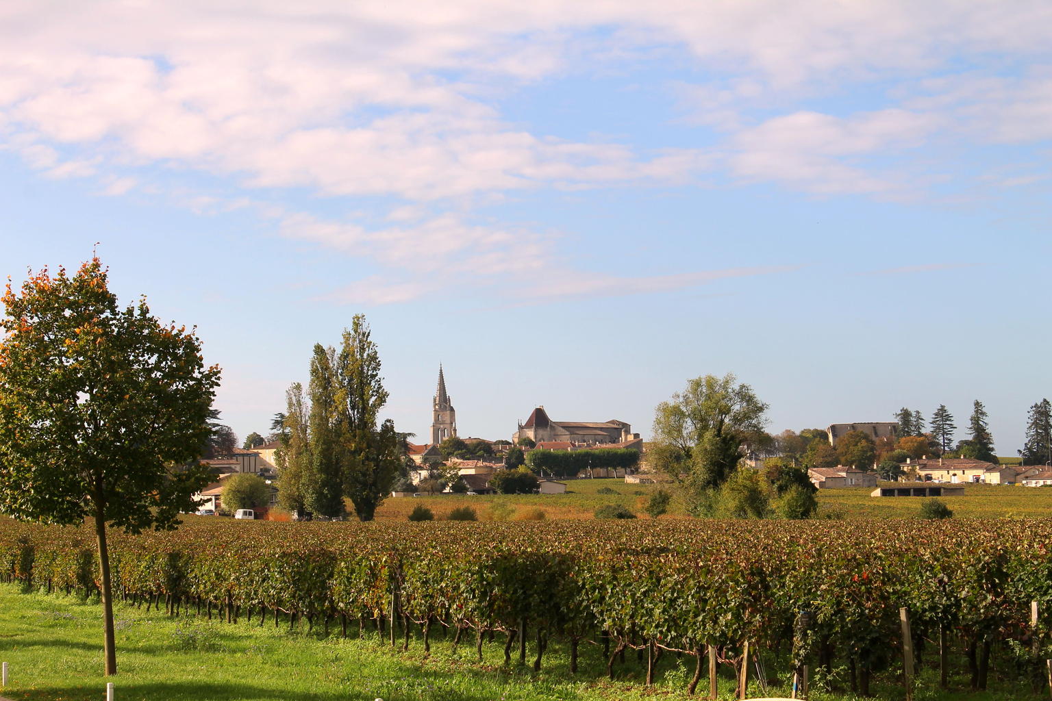 Saint Emilion viewed from Chateau Soutard