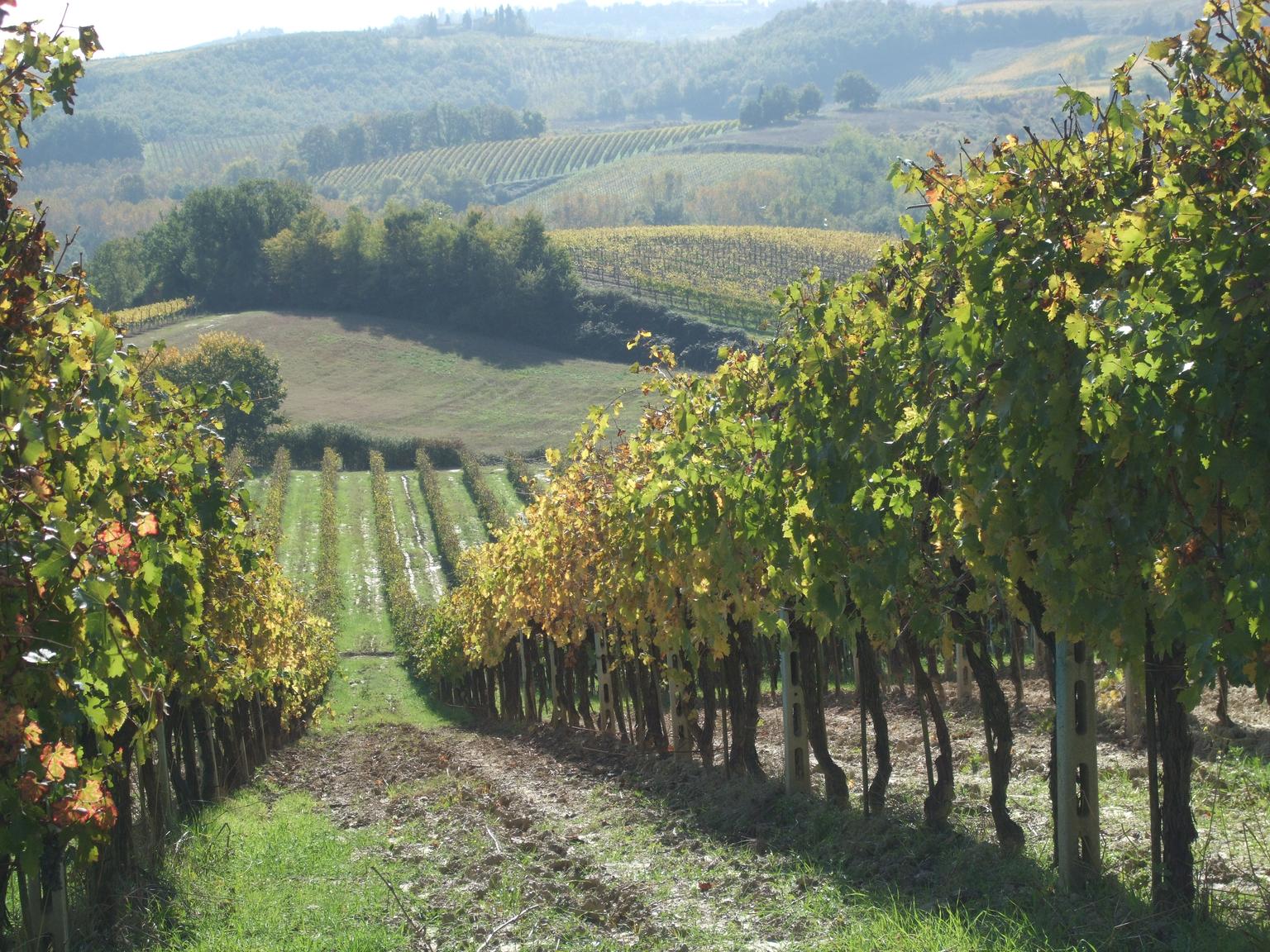 Great views of Tuscany