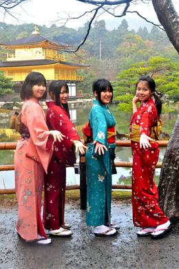 Photo of Four Little Maids at the Golden Pavilion Four young Students in Kimonos pose for their friends in front of the Golden pavilion, to the delight of an old photographer looking for interesting variations to the standard tour shot., John P - January 2010
