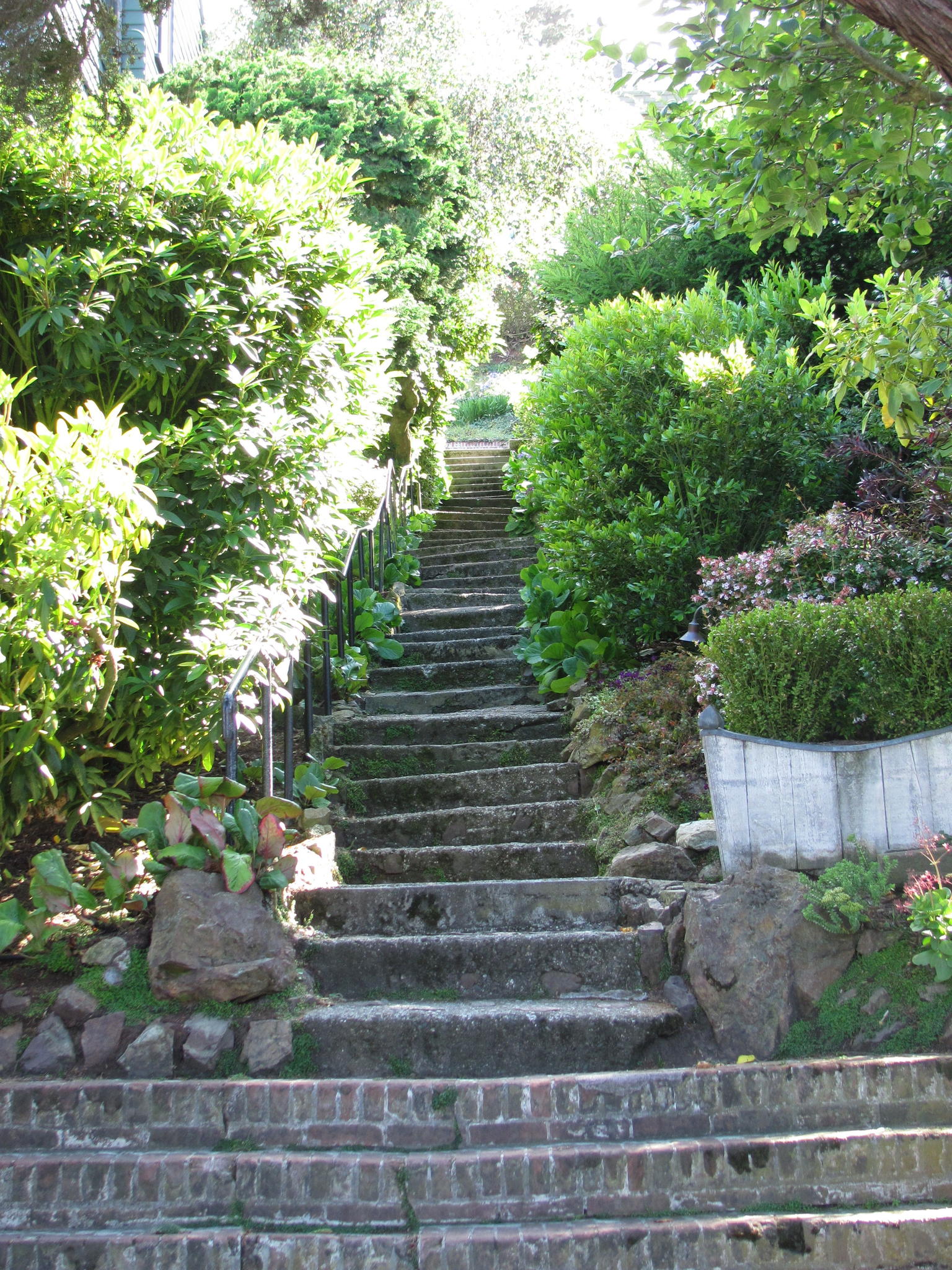 Steps