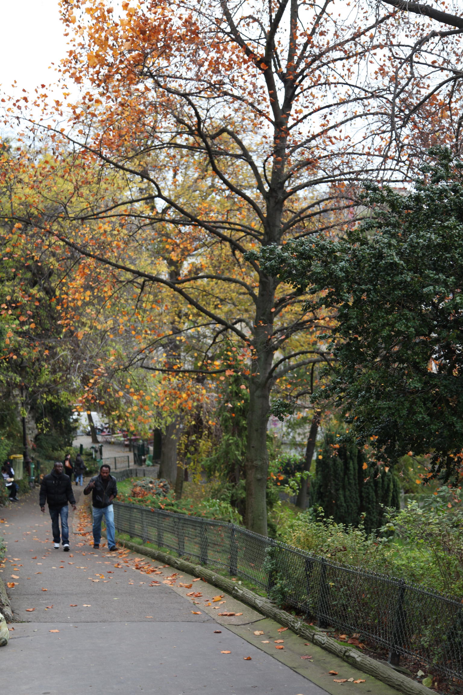 Beautiful Paris.  Quand la vie est belle!
