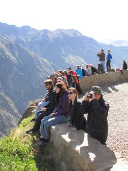 Photo of Colca Valley Overnight Tour from Arequipa: Colca Canyon, Vicuna Reserve and Condors Watching the Condors - May 2013