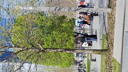 Photo of Even this pear tree has history This trip was so amazing. If you're interested in what happened on this day for whatever reason, then this is the trip for you. Even this pear tree has a history. , janetpenston - April 2016