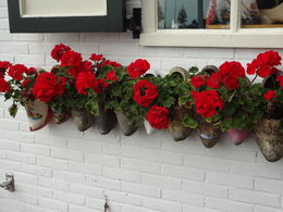 Photo of Wooden Shoes! We had just had a demonstration on how wooden shoes were made. As we left the building we saw different uses for some of the wooden shoes! , Terry P - July 2016