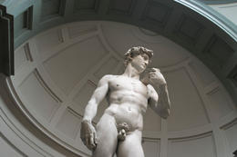 Photo of Michelangelo's statue of David (Accademia, Florence) Michelangelo's statue of David (Accademia, Florence) - November 2011