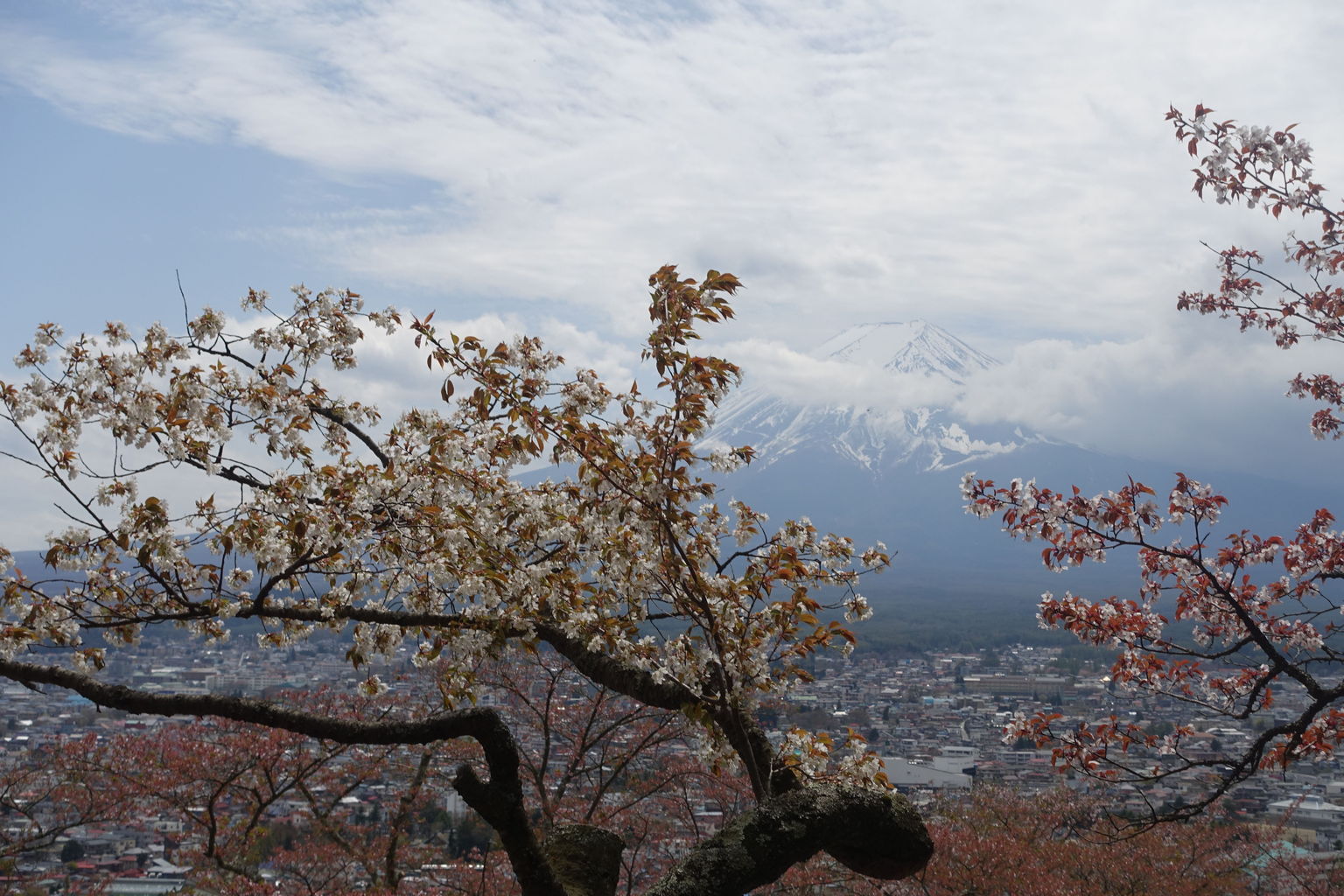 Mount Fuji