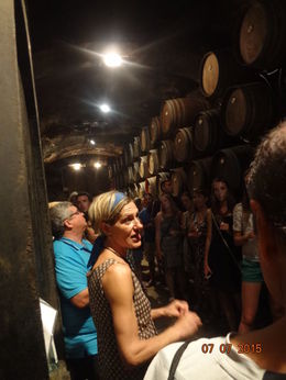 Photo of Il Palagio Winery Knowledgeable guide explains different grape cultivation leading to variety of wines , Christine K B - August 2015