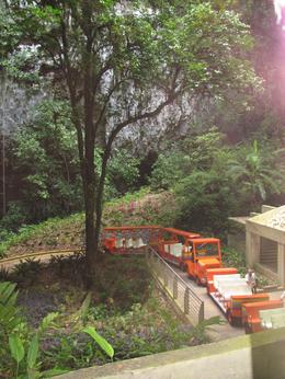 Photo of Tram to entrance of cave. This is a picture from the tram entrance showing the trams used to descend to the cave entrance. - August 2009