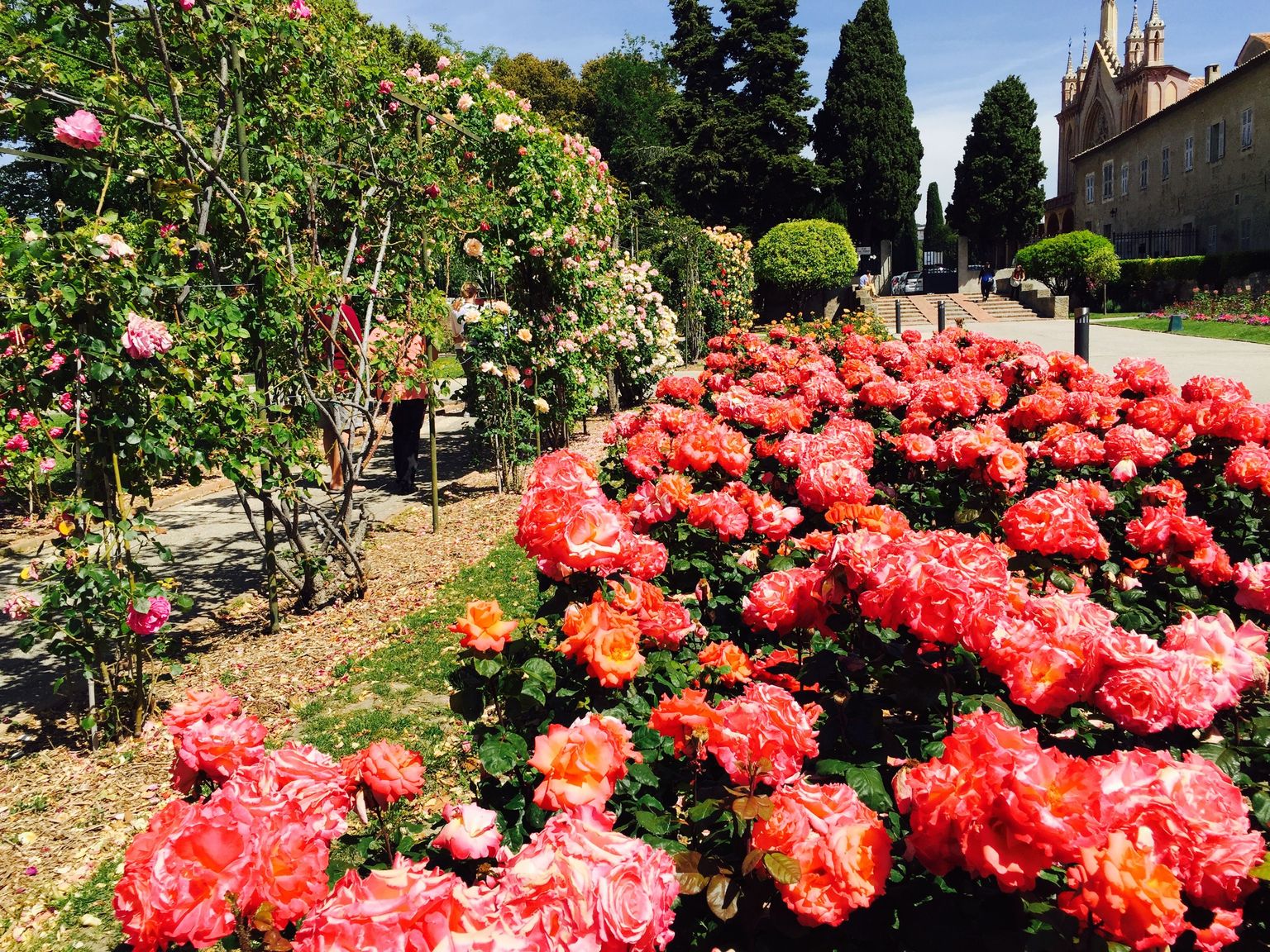 Nice - Rose Garden