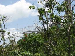 Photo of Arecibo Observatory This photo was taken walking up to the observatory. We entered the observatory walking from a parking lot up a steep incline. - August 2009