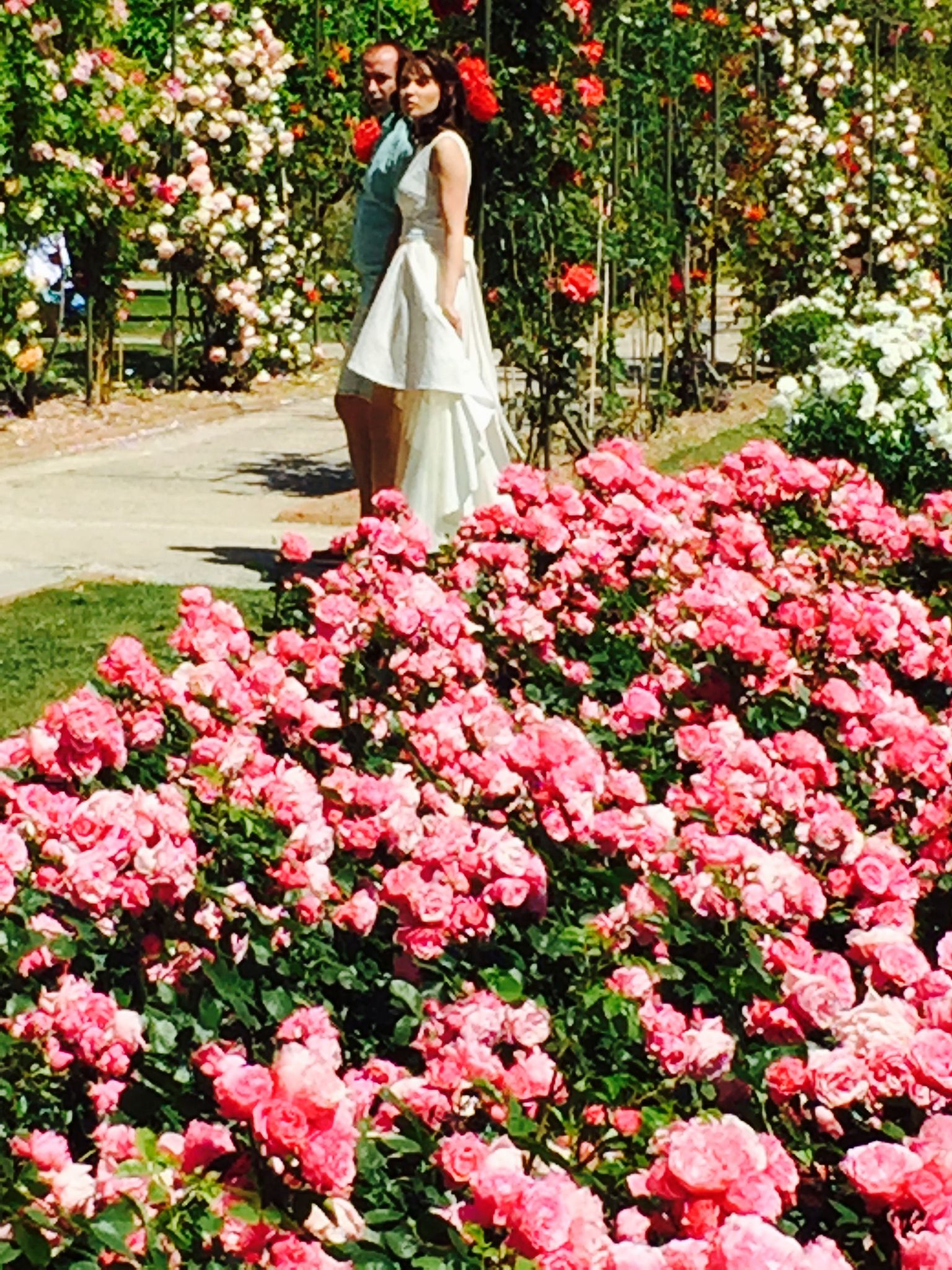 Nice - Rose Garden