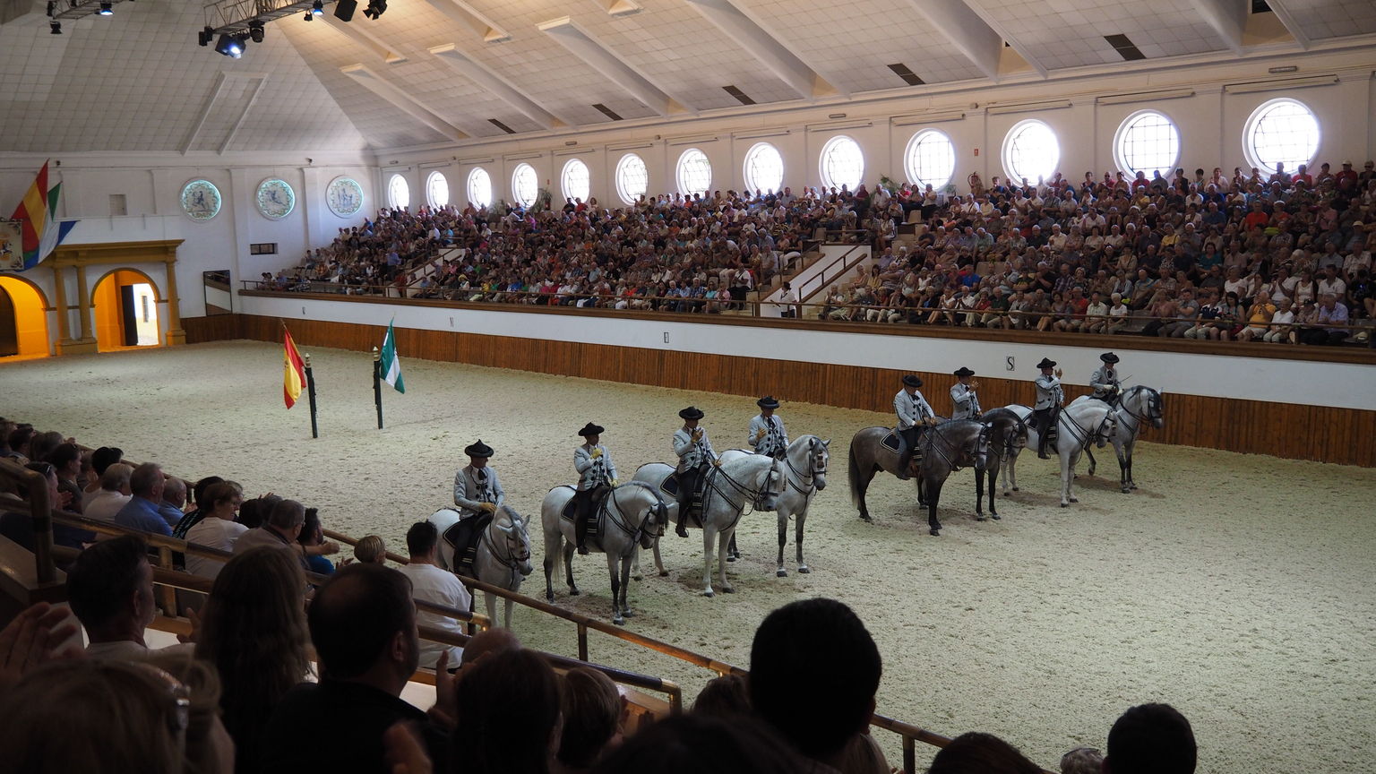 The Dancing Horses of Jerez.