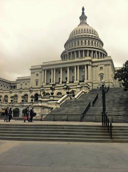 Photo of The Washington DC Capitol Building Part of the Washington tour. One of my favorite buildings , Petya A - July 2014