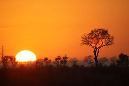 Photo of Kruger National Park Sunrise A dramatic sunrise in South Africa's Kruger National Park - May 2011