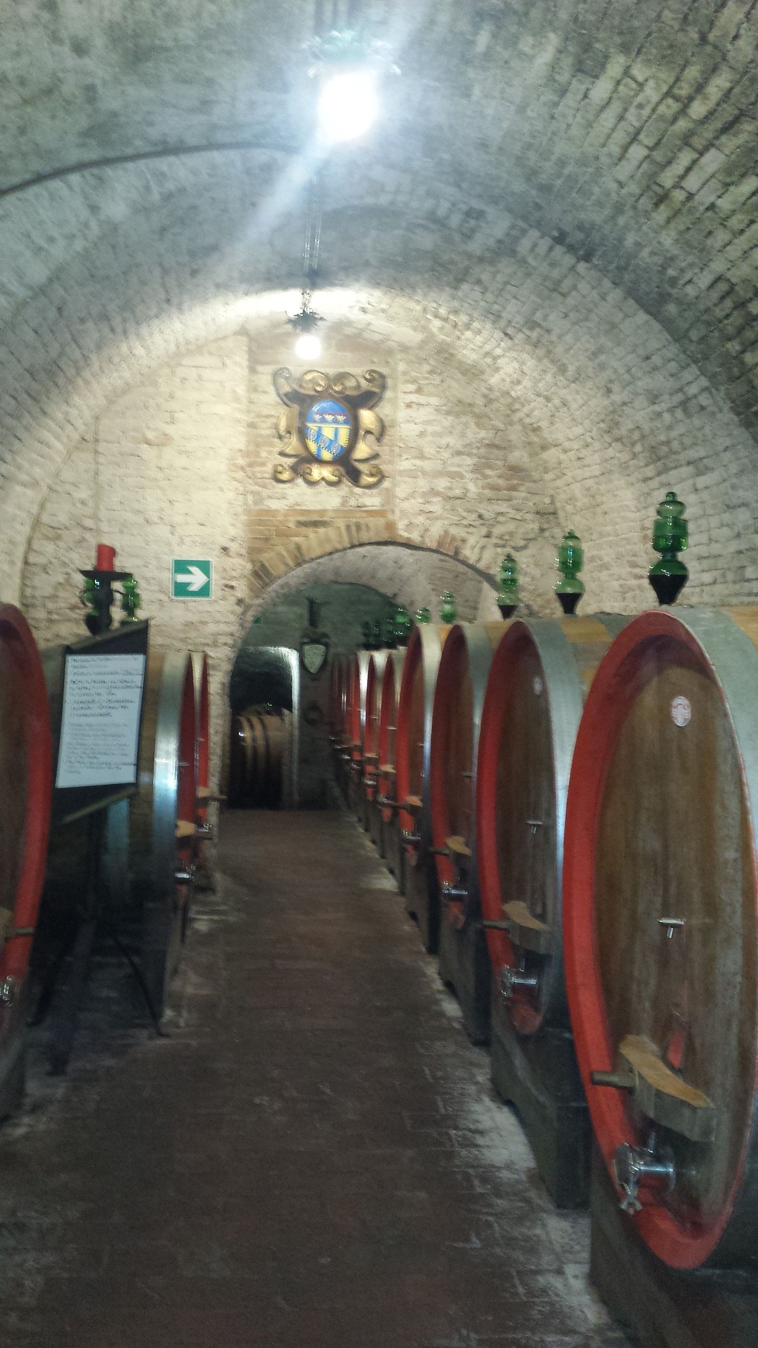 The Cellar