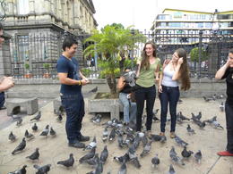 Photo of San Jose City Sightseeing Tour Pigeons being fed outside Teatro Nacional at Plaza De La Cultura , Britt B - May 2013