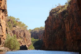Photo of The very beautiful Katherine Gorge Cruising the Katherine Gorge in Australia's Northern Territory. Great day out. , Susan C - August 2016