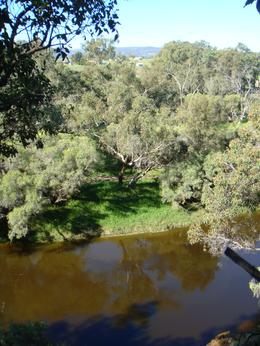 Photo of Swan River in Swan Valley The Swan River starts off very narrow up in the Swan Valley compared to its huge width in Perth, where it looks more like a lake before it empties into the Indian Ocean. , Leah - April 2011