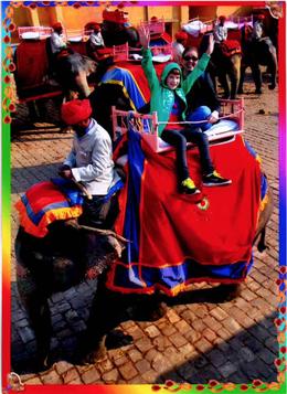Photo of Elephant ride to Amber Fort My son and wife riding an elephant to the Amber Fort entrance. , Darrell C - January 2014