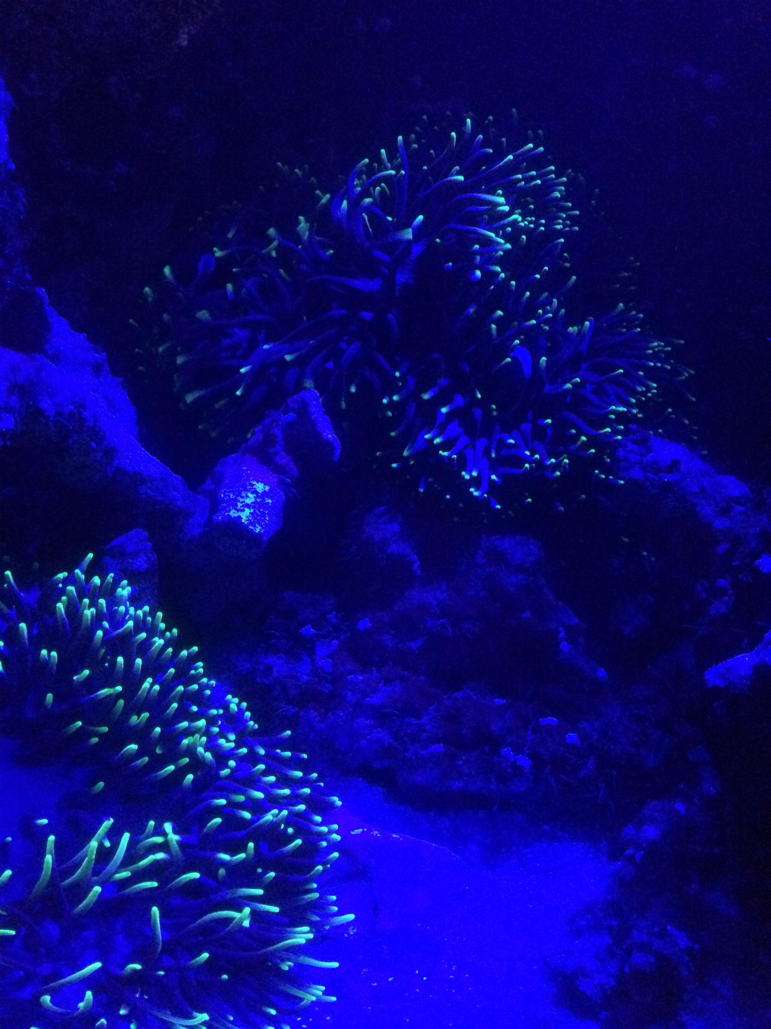 Nightlife at the Academy of Sciences