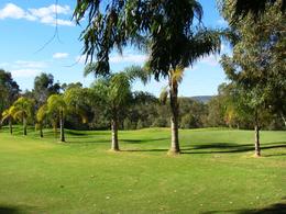 Photo of Super Golf course in Swan Valley The super golf course is sort of a mix between regular golf and mini golf. It's popular in the Perth area, and lots of fun. , Leah - April 2011