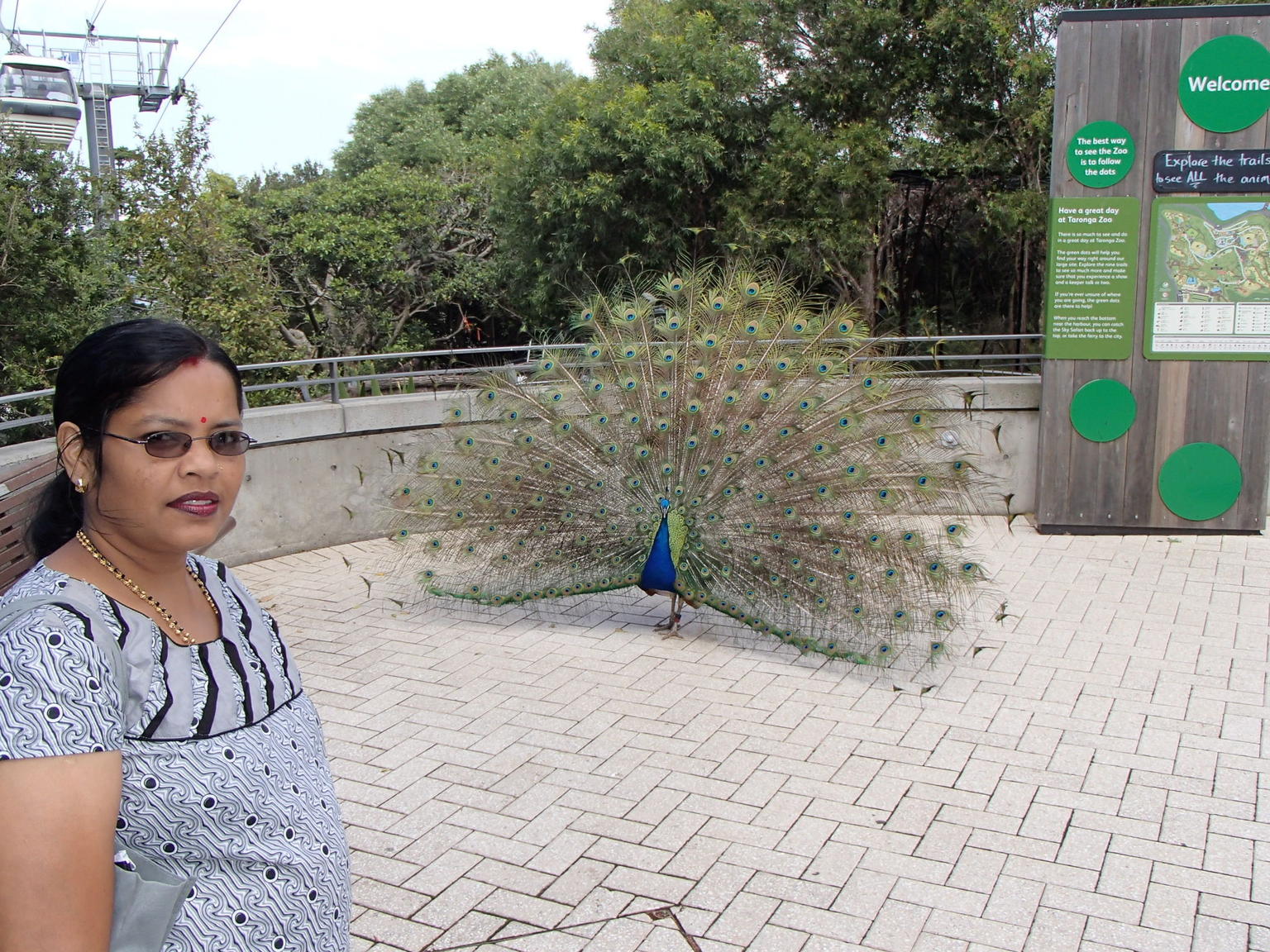 Tarongao Zoo visit