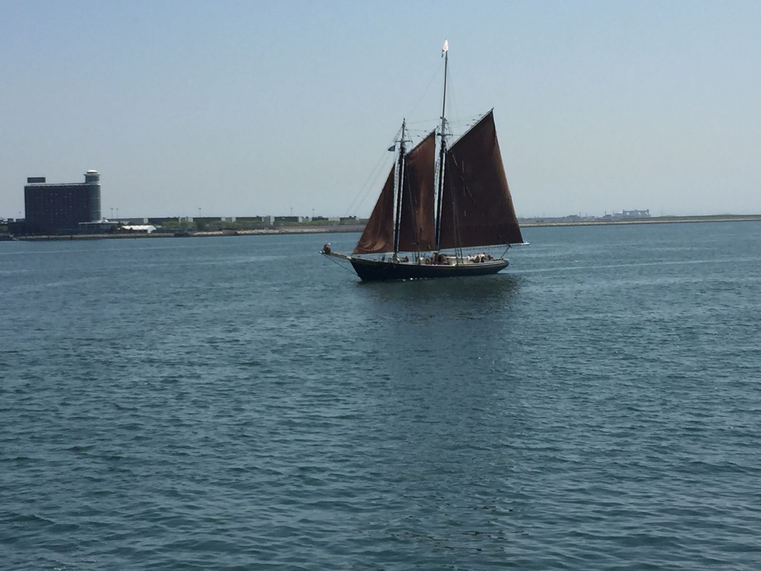 Harbour Tour