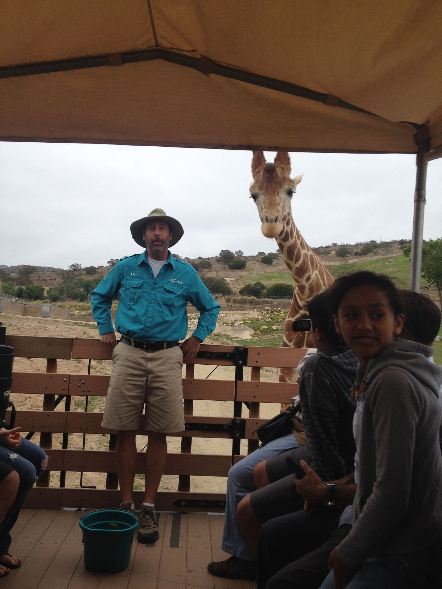 On the Caravan Safari, we met a giraffe!