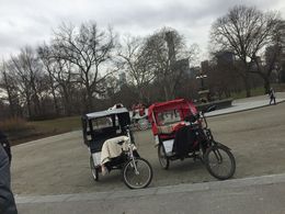 Photo of A CHANGE OF PLAN! We had every intention for a horse and carriage round Central Park But the rickshaw was a better option as they stop at the all the tourist spots to allow you to take photos whereas the carriages ... , moira.smart - March 2016