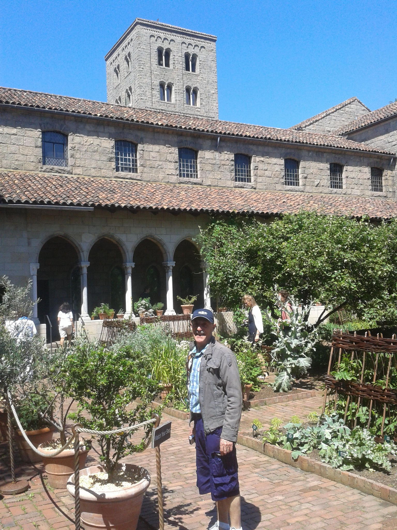 In the Cloisters garden