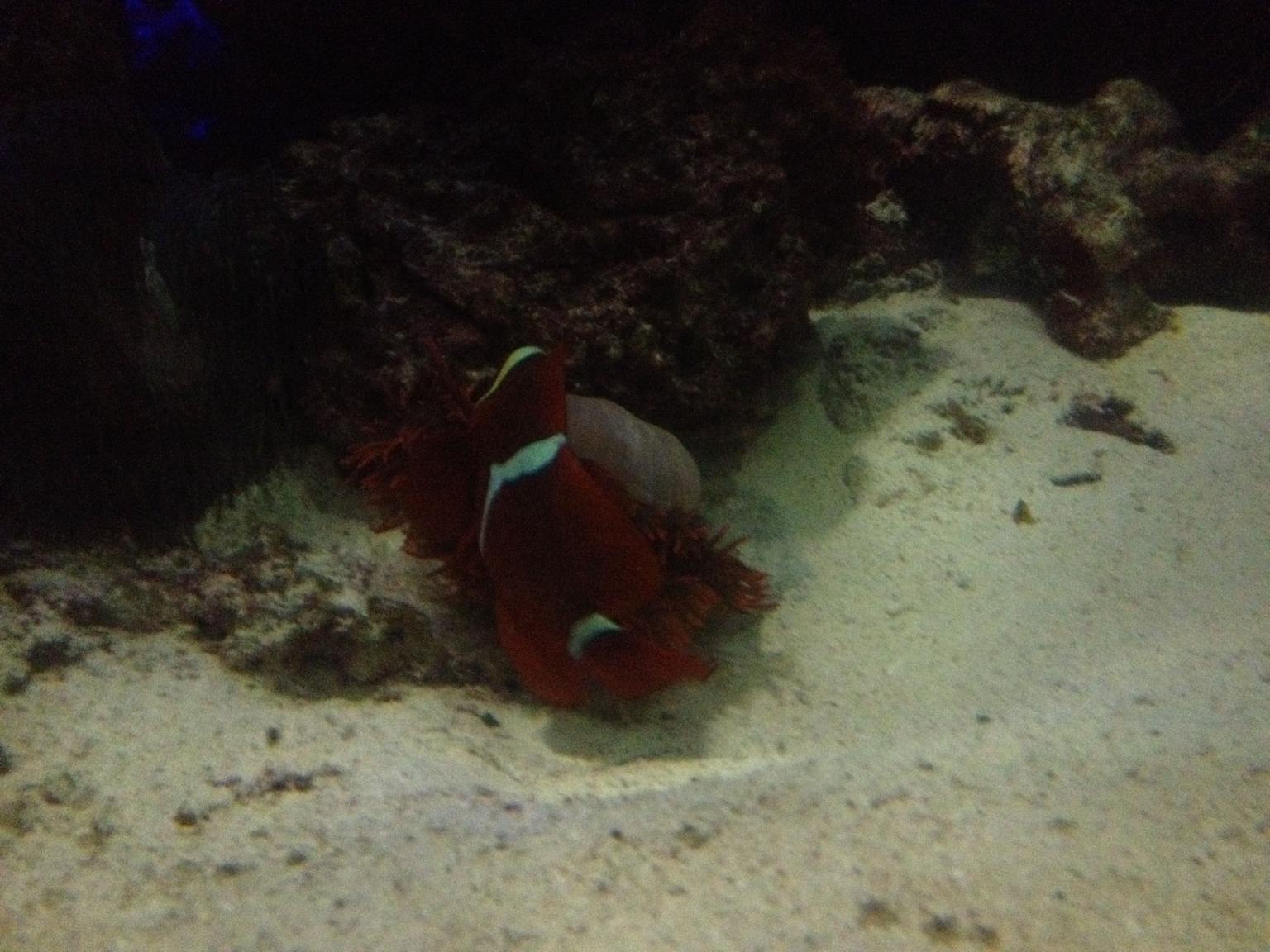 Nightlife at the Academy of Sciences