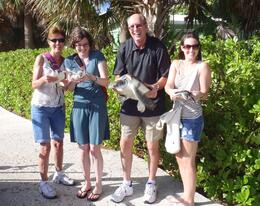 Photo of PC230422 Enjoying our 'one on one' with these beautiful turtles! The 500 lb. one was amazingly HUGE! , valyau - January 2012