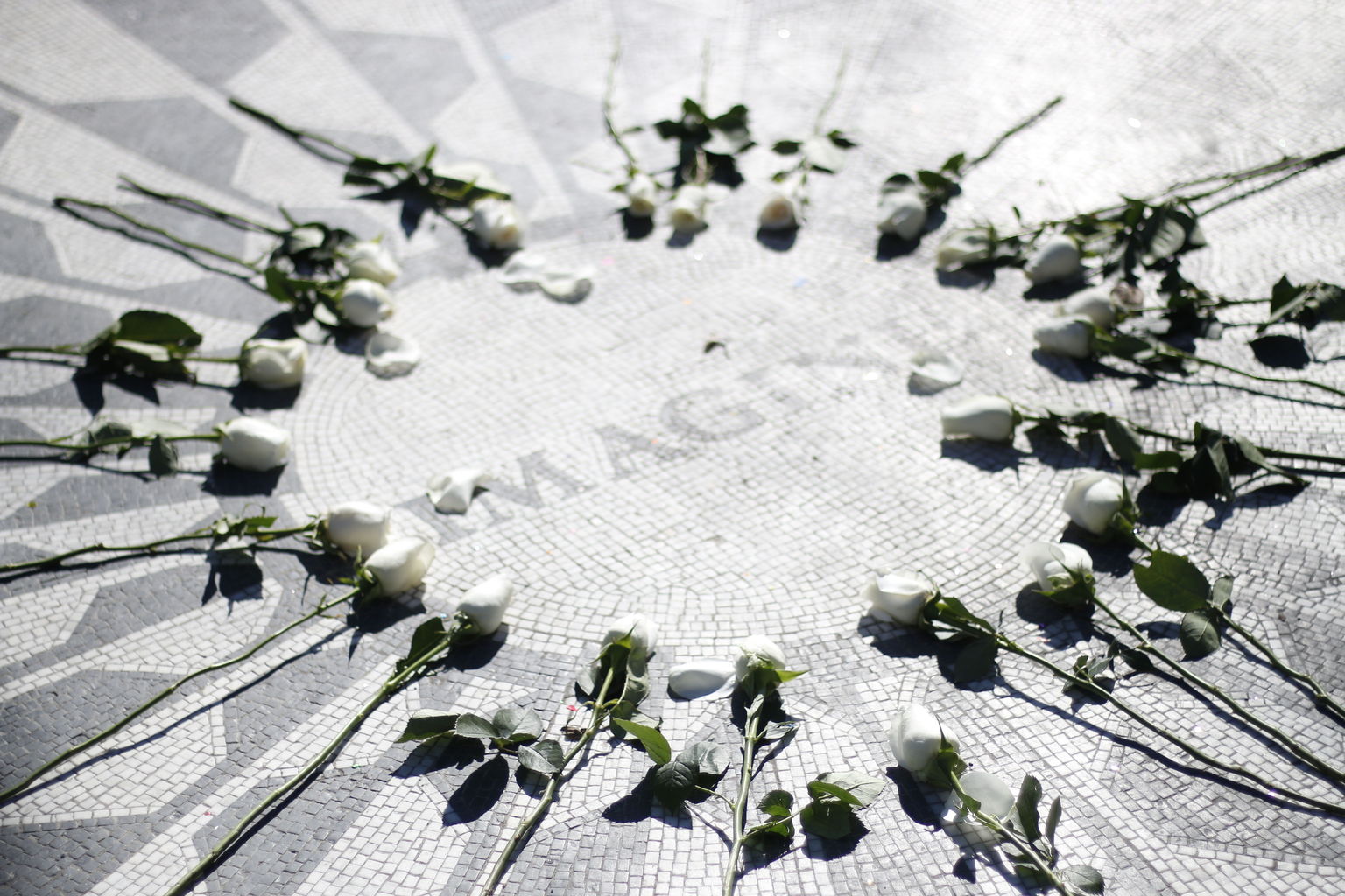 Strawberry Fields