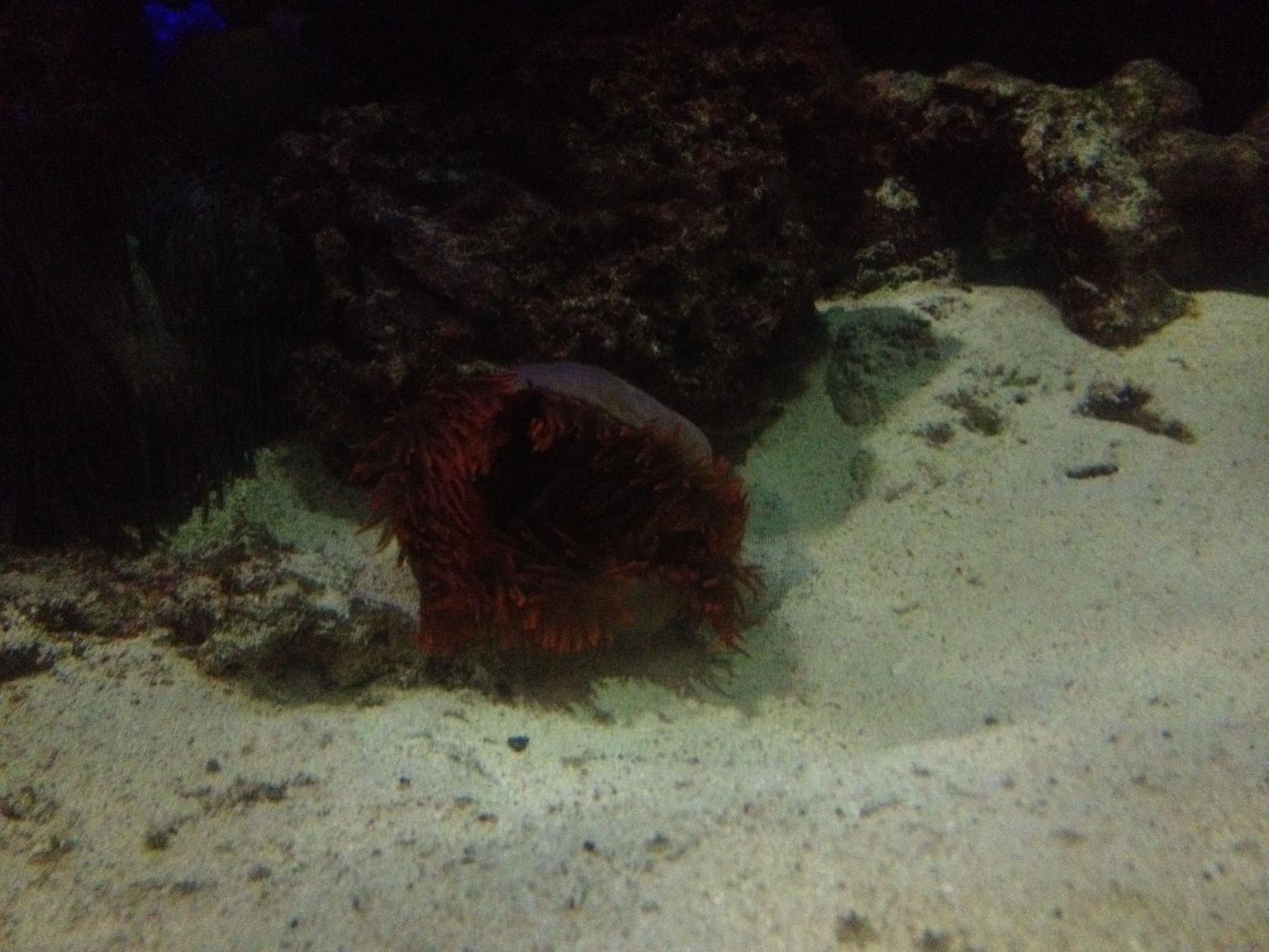 Nightlife at the Academy of Sciences