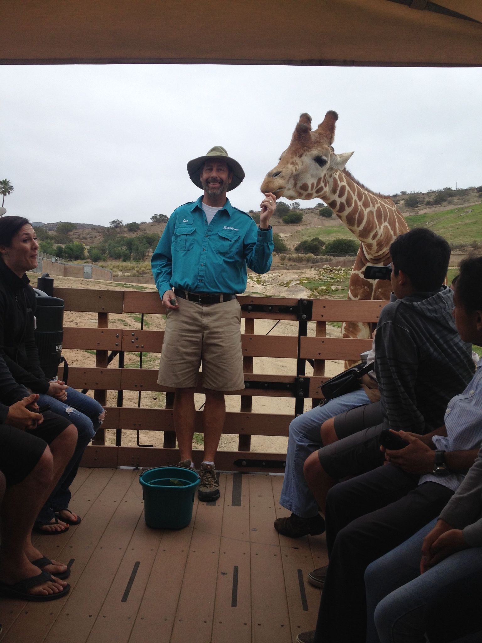 On the Caravan Safari, we met a giraffe!