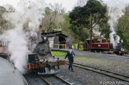 Photo of Puffing Billy Train I tried to capture the train...and then whoah! thew conductor popped in...excellent!!! , Danilo T - August 2016