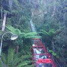 medium resolution image