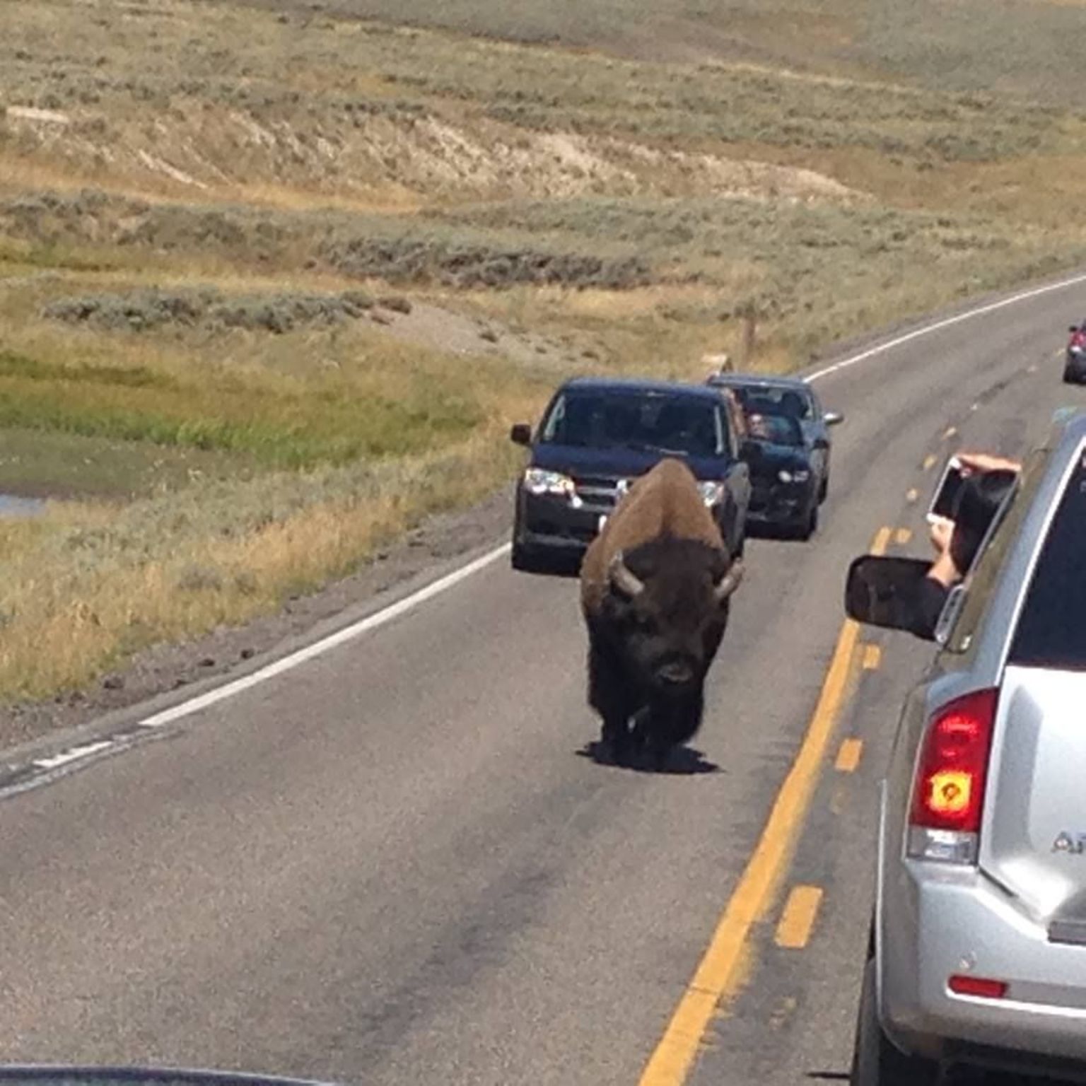 Wyoming 2015