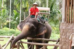 Photo of Amazing Elephant Ride This is one of the Mahuts ( elephant trainers) giving us all the information on the elephant conservation they perform., Barry R - November 2008