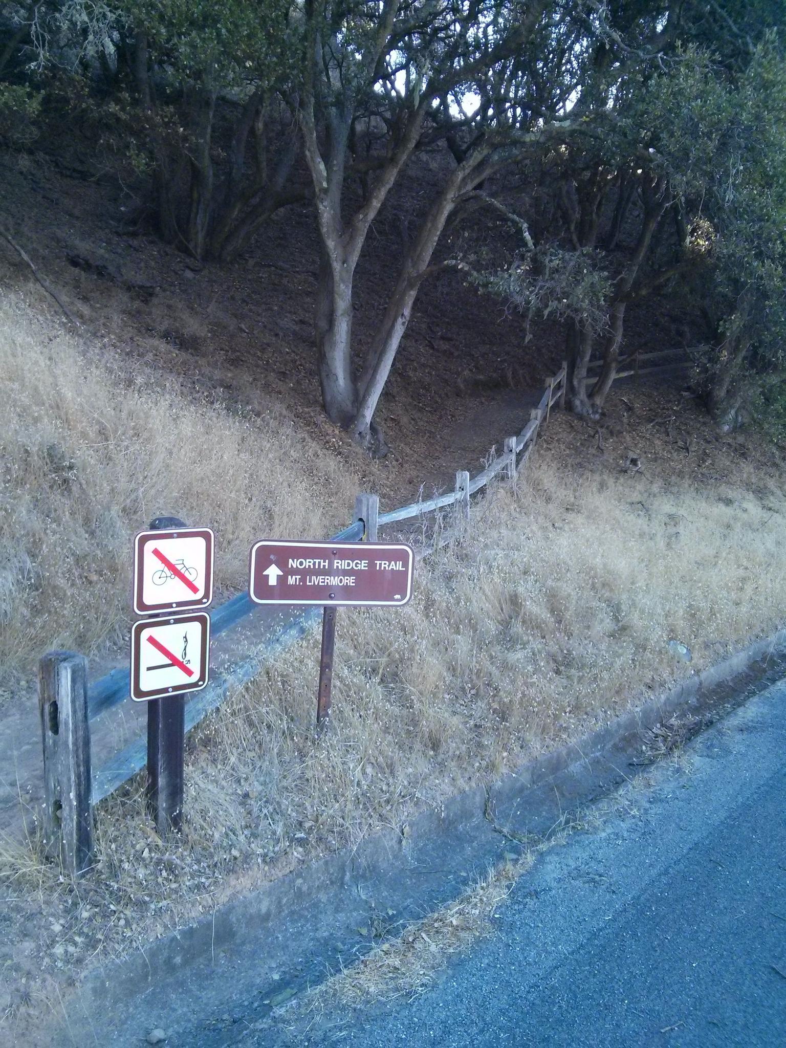 Path to Mount Livermore