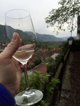 Photo of Amazing wine with a beautiful view Had a great time on this tour tasting several different wines from the Wachau Valley with very well informed tour guides , kaylaamenta - April 2016